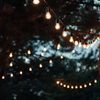 Außen-Lichterkette, schwarz, Gummi, L 15 m Bild 2