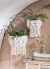 Dekoleidenschaft Pflanzschale Wandkorb "Makramee" aus Baumwolle & Canvas, beige, Aufbewahrungskorb (2 St, im Set), Wandpflanzer, Hängekorb im Boho Chic, Pflanzkorb, Wandpflanztopf Bild 2