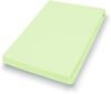 Hahn Haustextilien Jersey-Spannlaken Basic Größe 90-100x200 cm Farbe limone Bild 2
