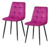 HTI-Living Esszimmerstuhl Stuhl Mesa Velvet Pink (Set, 2 St), Esszimmerstuhl Samt Bild 4