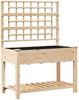 vidaXL Garten-Pflanzgefäß mit Regal Beige 115 x 60,5 x 153 cm 42006571 Bild 2