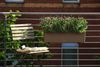 LECHUZA 15684 "BALCONERA Color 80" Pflanzgefäß mit Erd-Bewässerungs-System, Muskat, 79 x 19 x 19 cm Bild 2
