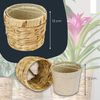 HMF Wasserhyazinthentopf Innovativer Blumentopf geflochten aus Wasserhyazinthe (Set, 2 St), mit Pflanztopf aus nachhaltigen Rohstoffen, Rund, ø 14 cm Bild 4