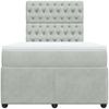 vidaXL Boxspringbett mit Matratze Hellgrau 120x200 cm Samt 3292316 Bild 4