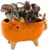 Dekohelden24 Übertopf Übertopf - Pflanztopf - Pflanzgefäß aus Keramik, Motiv: Katze in rosa (1 Stück, 1 St), Maße L/B/H: ca. 16 x 8,5 x 10 cm Bild 3