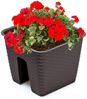 Annastore Balkonkasten Blumenkasten für Geländer und Brüstungen - Pflanzkasten für Geländer, Geländerkasten, Blumentopf, Geländertopf Bild 3