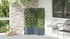 vidaXL Garten-Pflanzgefäß 3 pcs Hellgrau 80 x 80 x 142 cm Kunststoff 42002900 Bild 4