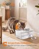 Feandrea Katzenbrunnen, 4,5 L Trinkbrunnen für Katzen, Leiser Wasserspender mit 3 Filtern und Trockenlaufschutz, 28,7 x 19,3 x 17,3 cm, Schwarz, für Mehrere Haustiere, Boxal Kollektion Bild 2