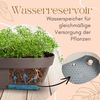 Erdbeertopf Pflanzturm Blumentopf Hoch Pflanzsäule Kräutertopf Balkon Pflanzkübel Kräuterturm Pflanztopf Outdoor Säulentopf SET 3 Ebenen Roller Bild 5