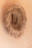 Der Abaca Solomon Spiegel - Natur Bild 5