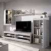 Dmora Aleu Wandsystem, Modulares Wohnzimmerset, Wohnzimmermöbel mit mehreren Positionen, 265x42h180 cm, Weiß und Zement Bild 4