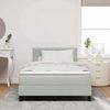 vidaXL LED Boxspringbett mit Kopfteil Hellgrau 120 x 190 cm Samt 3342704 Bild 4