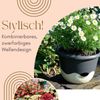 Blumentopf Hängend Blumenampel Außen Hängend Hängetopf Für Pflanzen Hängepflanzen Topf Hängeampel Hängender Blumentopf Mit Kette Wasserspeicher 30 Anthrazit Bild 4