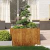 vidaXL Pflanzkübel Rostig 120x80x80 cm Wetterfester Stahl 860793 Bild 2