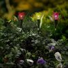 Lumineo LED Solarleuchte, Dauerlicht, kaltweiß, LED Solar Dekoleuchte Blume 28cm Kunststoff Warmweiß 3 Stück sortiert Bild 3