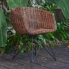 Echt Rattan Sessel Paris Bild 5