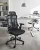 Bürostuhl ERGONOX Schwarz Bild 3
