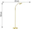 LED Stehlampe, messing, Touchdimmer, H 135 cm Bild 5