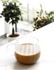 Mulex 12 Tlg. Gläser-Set Riffle Cup Hitzebeständig 350 ml transparent Kaffeeglas Teeglas Bild 4
