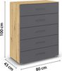 rauch Aditio Box, Kommode, 5 Schubladen, mit Softclose-Funktion, Farbe Grau metallic/Eiche Artisan, BxHxT 80x100x43cm Bild 4