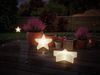 Paulmann No. 94184 Plug&Shine Lichtobjekt Star 40 cm Warmweiß IP67 Bild 5