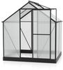 Vitavia 'Eos 3100' Gewächshaus, Aluminium, Schwarz, 6 mm HKP, 3,1 m² Bild 4