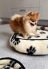 Hundebett Duo Merinowolle Ø 40 cm Farbe: Schwarz/Weiß Bild 2