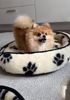 Hundebett Duo Merinowolle Ø 40 cm Farbe: Schwarz/Weiß Bild 3