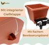 GarPet Pflanzkübel 2x Pflanzkübel Rechteckig Blumen Kübel Pflanz Topf 35 cm Terrakotta Bild 4