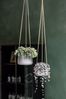 finestgreen Blumenampel Handgefertigte Blumenampel Hanging Patt Bild 5