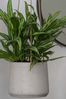 finestgreen Blumenampel Handgefertigte Blumenampel Hanging Patt Bild 4