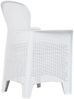vidaXL Gartenstühle 2 Stk. mit Kissen Weiß Kunststoff Rattan-Optik 45598 Bild 3