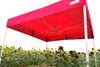 Professioneller Promo-Werbezelt 3x4,5m | Massives Alu-Profil 1,8mm - mit 3 Wänden - Beige Bild 2