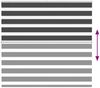 vidaXL Doppelrollo Schwarz 165x150 cm Stoffbreite 160,9 cm Polyester 4014248 Bild 5