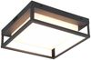 LED Deckenleuchte WITHAM Bild 2