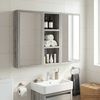 vidaXL Badezimmer-Wandschrank mit Regal Graues Sonoma 20 x 10 x 50 cm 889284 Bild 5