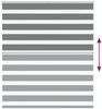 vidaXL Doppelrollo Dunkelgrau 135x100 cm Stoffbreite 130,9 cm Polyester 4014112 Bild 5