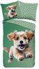 good morning Kinderbettwäsche Mambo, Renforcé, 2 teilig, Baumwolle, Renforcé, Wendeoptik, Kind, Hund, Grün Bild 2