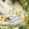 Ritzenhoff 6041006 Aperitifglas-Set F25 SOMMERTAU Limoncello Hanna Symonovych 2025 Bild 5
