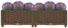 vidaXL Hochbeet 80x40x23 cm Polypropylen 316512 Bild 3