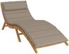 vidaXL Sonnenliegen-Auflage Taupe 180x60x4 cm Oxford-Gewebe 361860 Bild 3