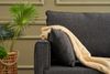 3-Sitzer-Sofa, 'Bella', 85 x 81 x 208, Anthrazit Bild 4