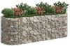 vidaXL Gabionen-Hochbeet Verzinktes Eisen 300x100x100 cm 152046 Bild 3