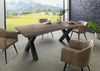 Baumtisch Akazie 220x100x77 grau lackiert / X-Beine anthrazit matt FREEFORM 5 Bild 3