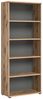 Regal Büroregal MASON 200x80 cm in Nox Eiche und Basalt grau Bild 4