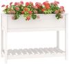 vidaXL Pflanzkübel mit Ablage Weiß 111,5x54x81 cm Massivholz Kiefer 823788 Bild 4