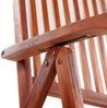 vidaXL Gartenstühle 2 Stk. Klappbar Akazie Massivholz Braun 41820 Bild 5