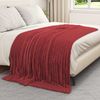 vidaXL Überwurfdecke Bordeauxrot 200 x 150 cm Fleece 42016850 Bild 3