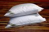 Betten Hofmann Luxus 3-Kammer-Kopfkissen 50x75 cm Kissen Polster weiche Daunenhülle Bild 4