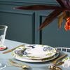 Villeroy & Boch Amazonia Speiseteller ø 27,7 cm 6er Set Bild 2